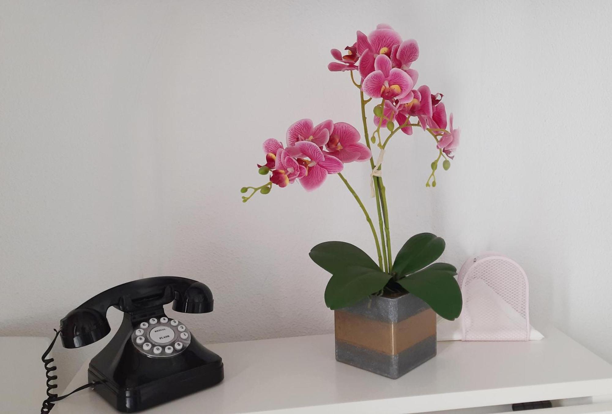 Lovely Center Apartments - Sunny Balcony Alfalfa Σεβίλλη Εξωτερικό φωτογραφία
